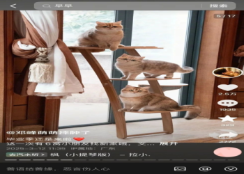 貓界反溢價爆款!混凝土板成磨爪神器,TikTok 播放破百萬