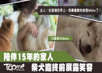 狗狗臨終前5個催淚行為,看完後請更珍惜與毛孩的每一天