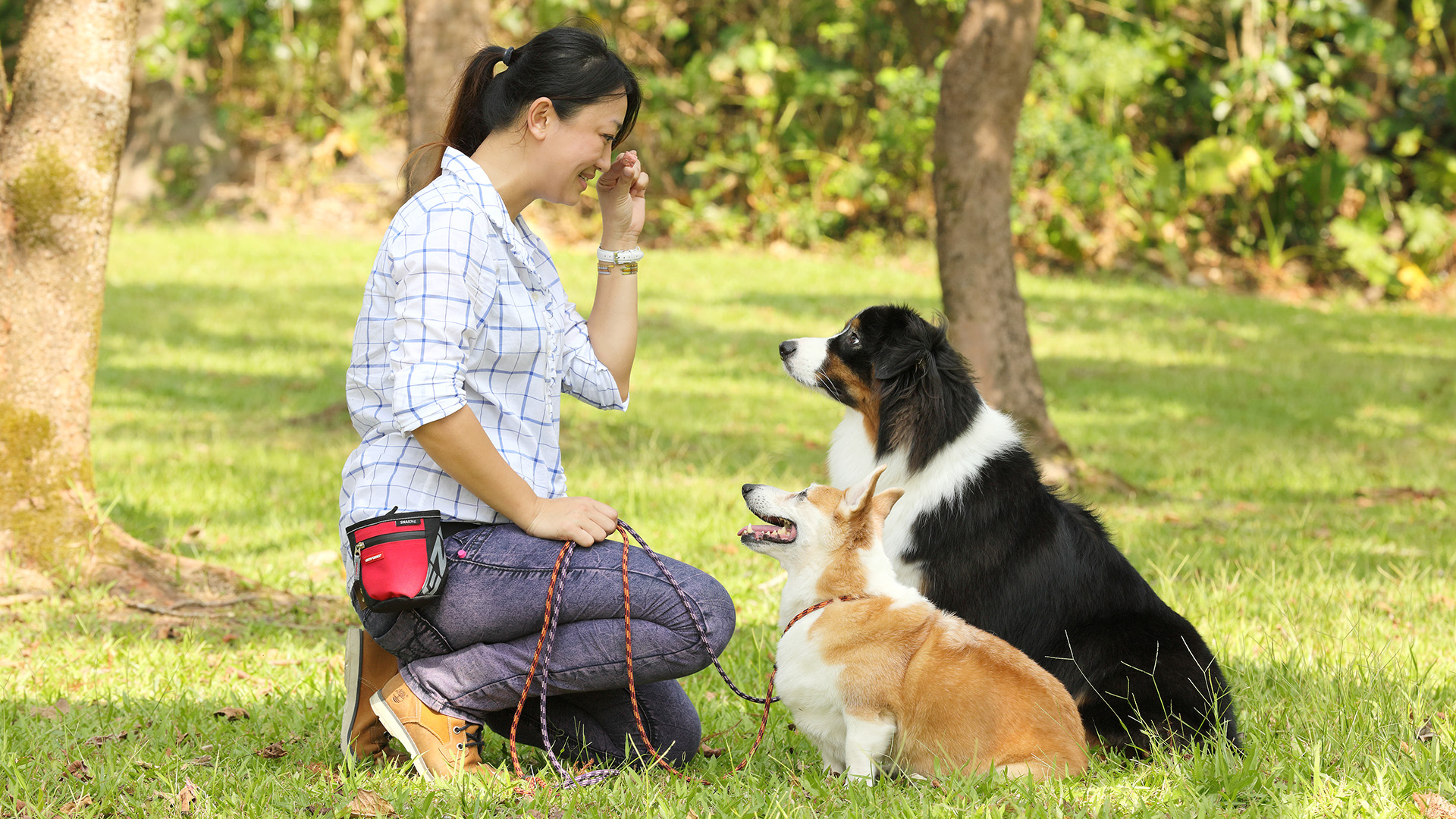 寵物訓練師證照就業好嗎?職場出路超推薦