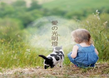 新竹狗狗安樂死後立即火化？獸醫配合服務細節