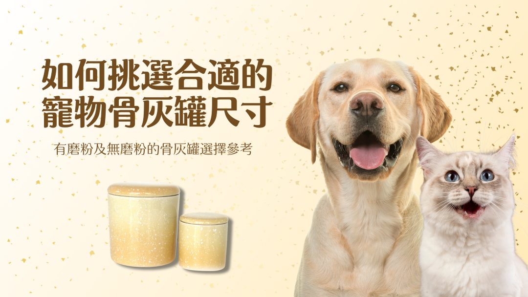 寵物骨灰罈怎麼挑選才對?(專家教你三大實用秘訣)
