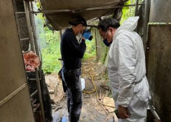 殘障小狗赴美观光獲攝影冠軍!獎金全數捐動保