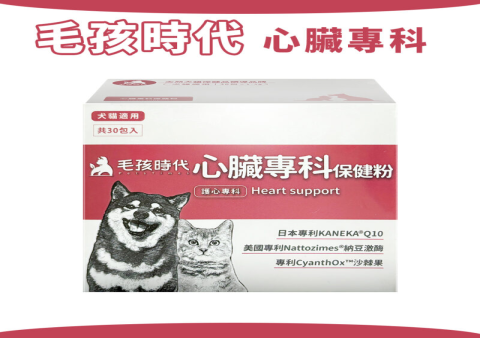 老年犬保健品熱賣中,毛孩認知保健飼主都在買