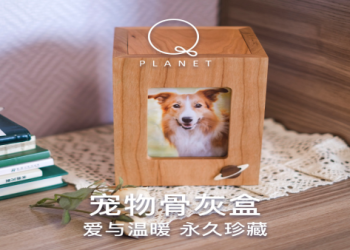 毛小孩骨灰紀念盒設計款推薦,療癒系外型撫慰飼主心