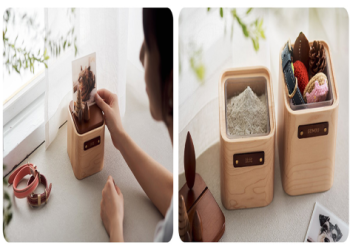 台灣寵物骨灰盒合規標準出爐,符合這些才能販售欸