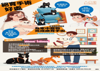 偏鄉寵物終程服務補助,台東、屏東飼主減免三成欸