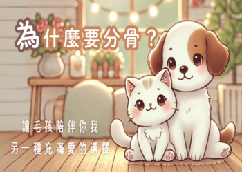 寵物火化可以放陪葬品嗎？這些東西千萬不能放欸