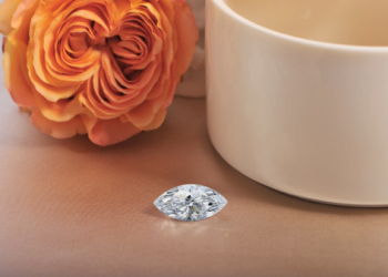 台灣寵物骨灰鑽石製作價格全揭露：影響費用的關鍵因素