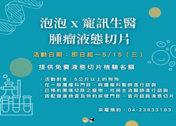 寵物腫瘤治療結合安寧照護,醫療服務更人性化了