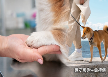 寵物殯葬場地設置規範,距離住宅區要 500 公尺以上