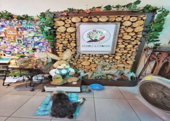 新竹寵物殯葬業者評比!合法終程服務這幾家推薦