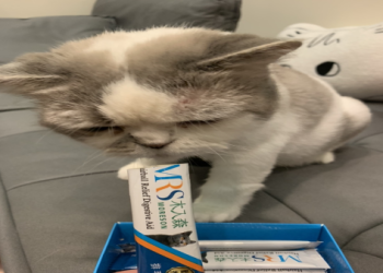 寵物化毛膏含礦物油,長期食用影響維生素吸收