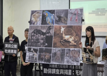 動保法增列展演動物條款,水族館、動物園要符合規範