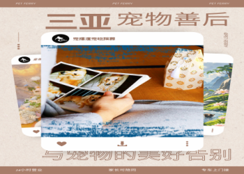 寵物告別骨灰保存怎麼做？從火化到安放完整流程看這