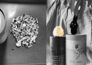 毛孩火化需要家屬同意書嗎？寵物殯葬文件要備齊喔