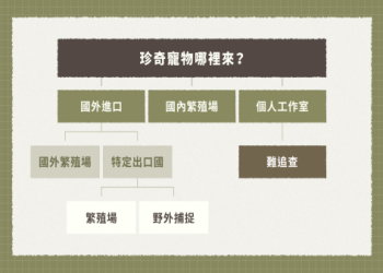 寵物終程服務納管理了!動保法修正這些要注意