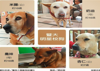 動保教育進校園了!這樣教小朋友愛護毛小孩