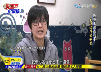 桃園收容所猫狗暴增!恐執行「12 夜」志工急尋領養