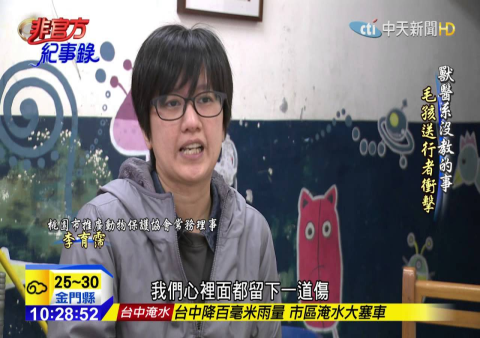 桃園收容所猫狗暴增!恐執行「12 夜」志工急尋領養