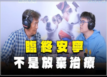寵物安寧照護怎麼做？米可白愛犬案例引發熱議