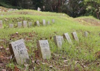 可以將寵物骨灰罐安放在人的墓地嗎？禮儀與陵園規定