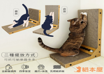 貓咪爬架用螺絲釘固定,跑酷磨爪兩不誤