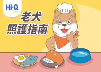 老年犬認知保健服務要更普及,銀髮毛孩照顧升級