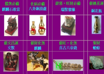 寵物骨灰盒家中供奉位置,風水師建議這樣擺放最好欸