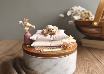 寵物骨灰盒室內展示方法,居家擺設風水位置看這篇欸