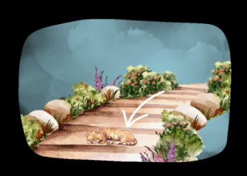 寵物公益葬走紅,流浪動物火化骨灰用於公益植林