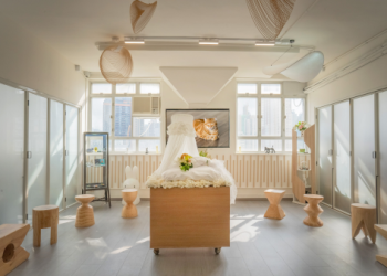 寵物火化單爐單燒現在都有監控,飼主更安心啦