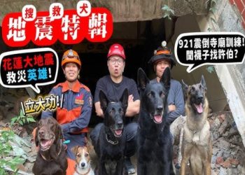 退役搜救犬終程照顧專案,英雄犬享最高規格善終喔