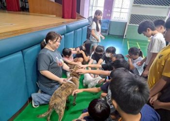 動保教育列入課綱討論中,國小就開始教愛護動物啦