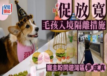 毛孩友善空間新增 50 處,寵物出門越來越方便