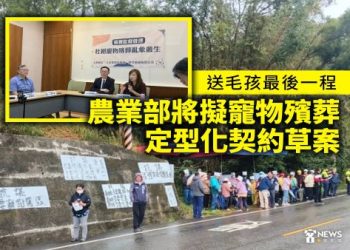 出差族必看：台灣寵物骨灰短期寄存服務完整評比