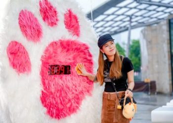 流浪毛孩終程照護基金擴充中,公益能量再提升欸