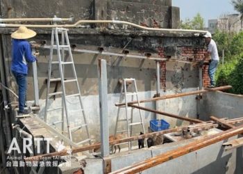 颱風受災狗園毛孩全獲救,高雄救援行動好給力