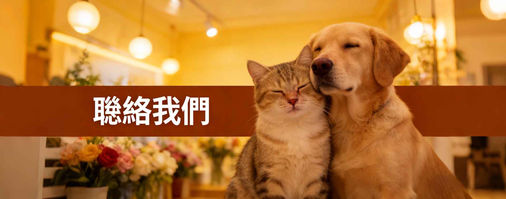 毛孩安-聯絡我們